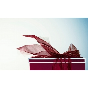 red-gift-with-ribbon.jpg